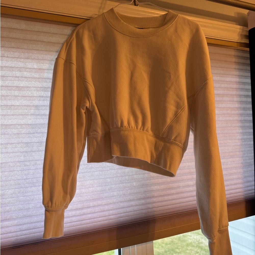 wild fable Cropped Crewneck Sweatshirt - Cream